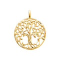 Coque de Nacre Pendentif plaqué or 2776500