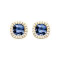 Coque de Nacre Boucles d'oreilles plaqué or 2552440
