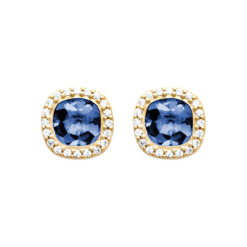 Coque de Nacre Boucles d'oreilles plaqué or 2552440
