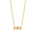 Coque de Nacre Collier plaqué or 974064