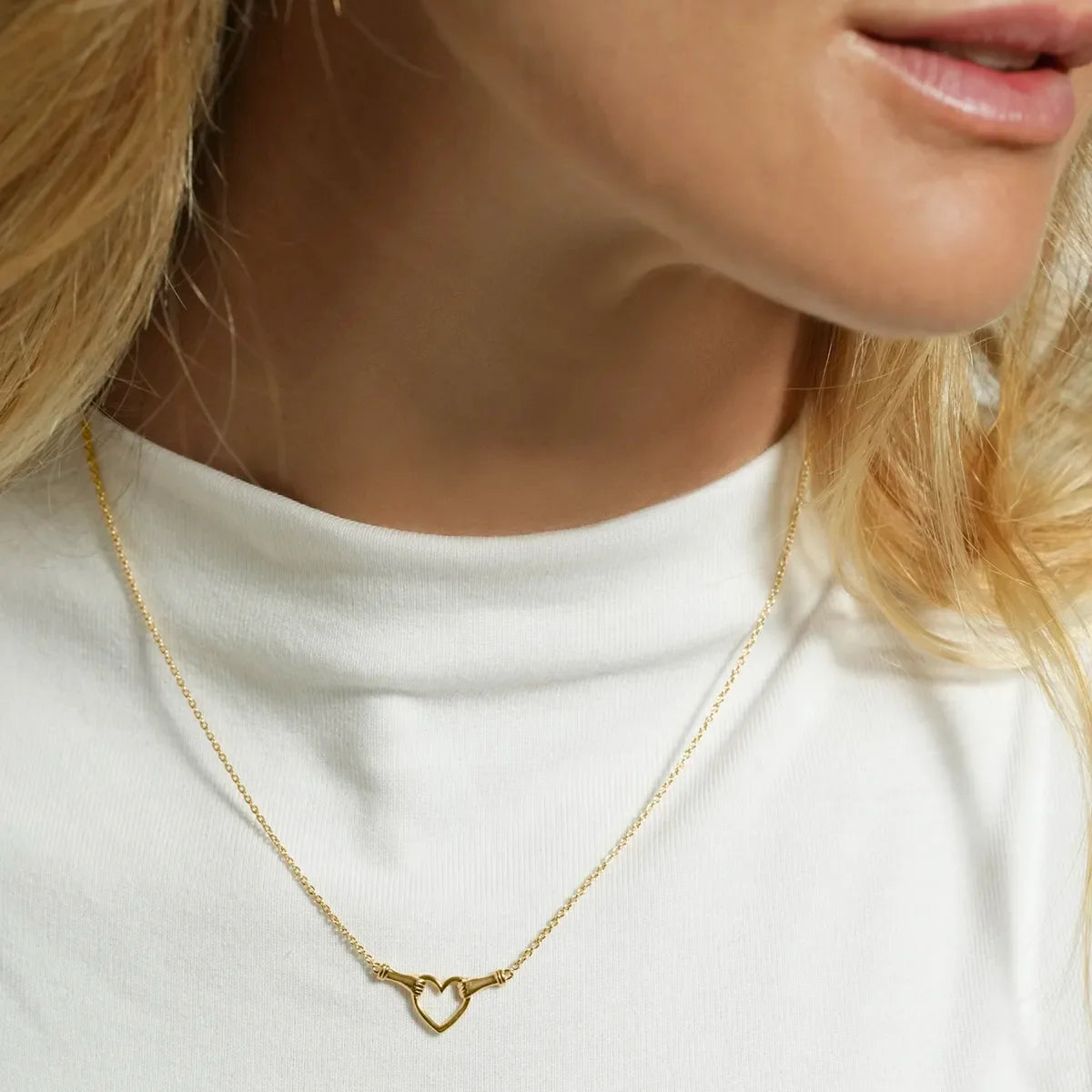 Jourdan Bijoux Collier Amea AJF170332N