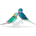 Swarovski Figurine Jungle Beats Couple de Perruches Fife & Fifer 5577124
