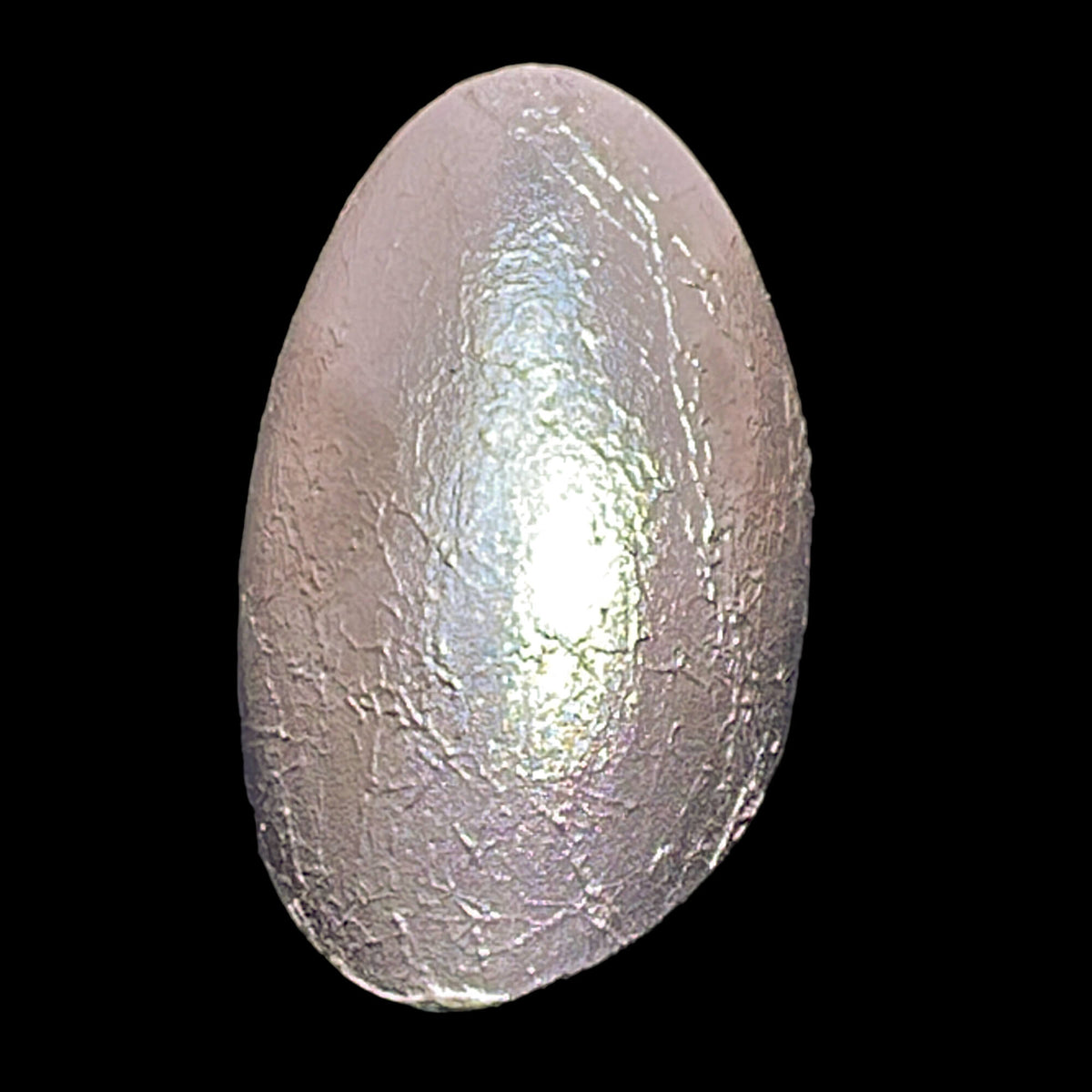 Sanjoya Bague Riga L0823004
