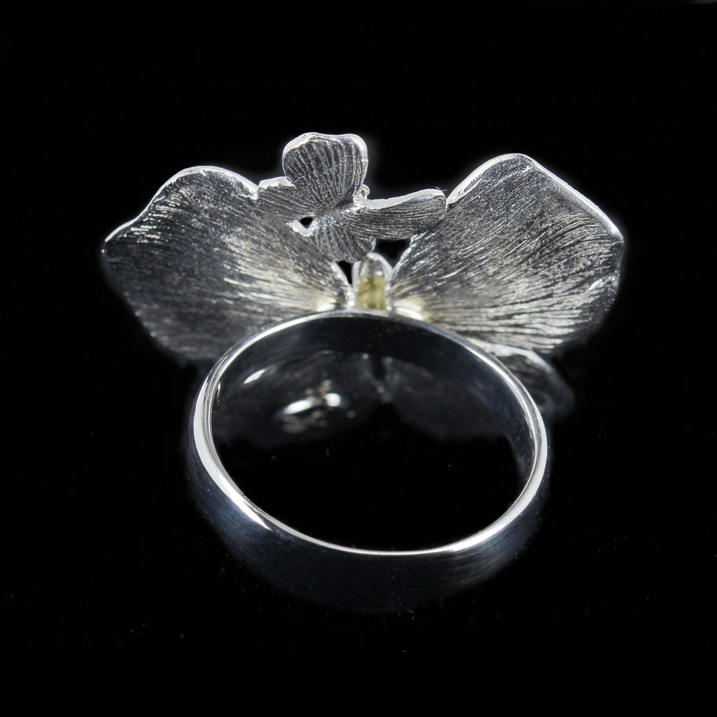 Sanjoya Bague Dubrovnik L1021025WG18