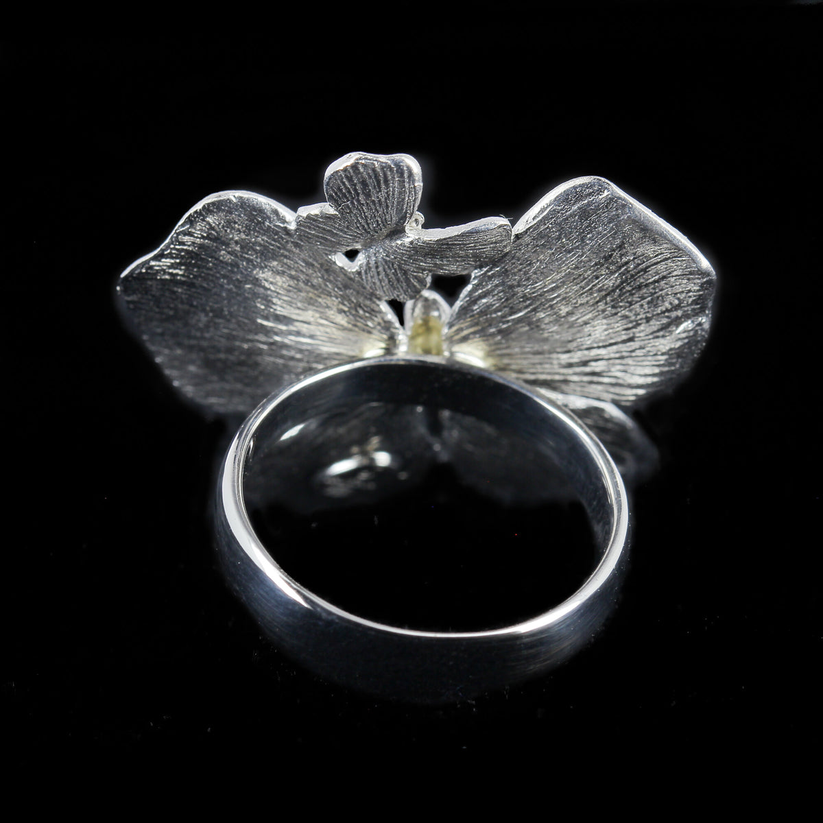 Sanjoya Bague Dubrovnik L1021025WG18