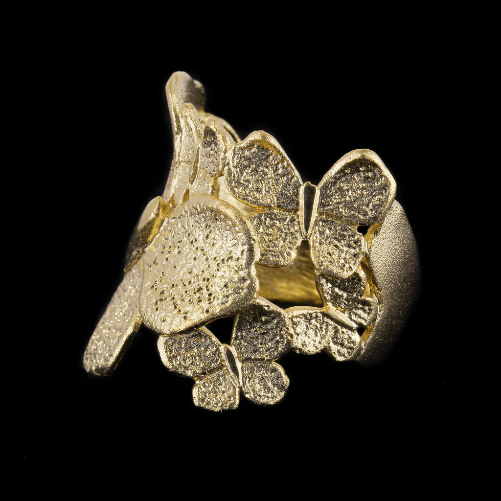 Sanjoya Bague Dubrovnik L1021033