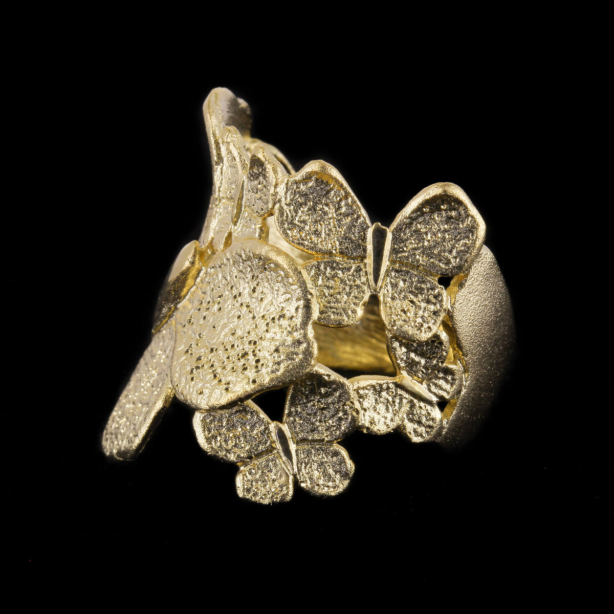 Sanjoya Bague Dubrovnik L1021033