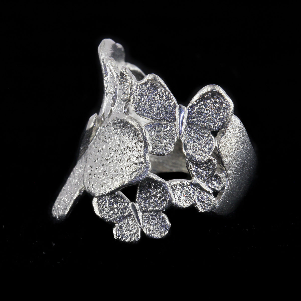 Sanjoya Bague Dubrovnik L1021034