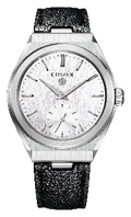 The Citizen Mechanical Model NC0210-11A