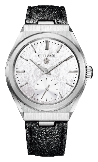 The Citizen Mechanical Model NC0210-11A