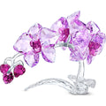 Swarovski Figurine Orchidée 5520373
