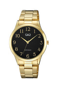 Q&Q C10A-013PY