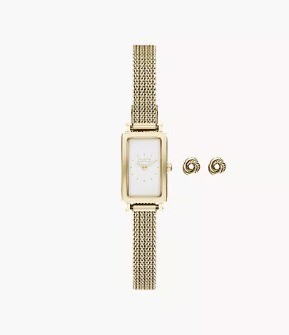 skagen-skw1158set