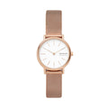 Skagen Signatur Lille SKW2694