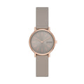 Skagen Signatur Lille SKW3060