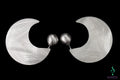 Sanjoya Boucles d'oreilles Budapest DI0916003
