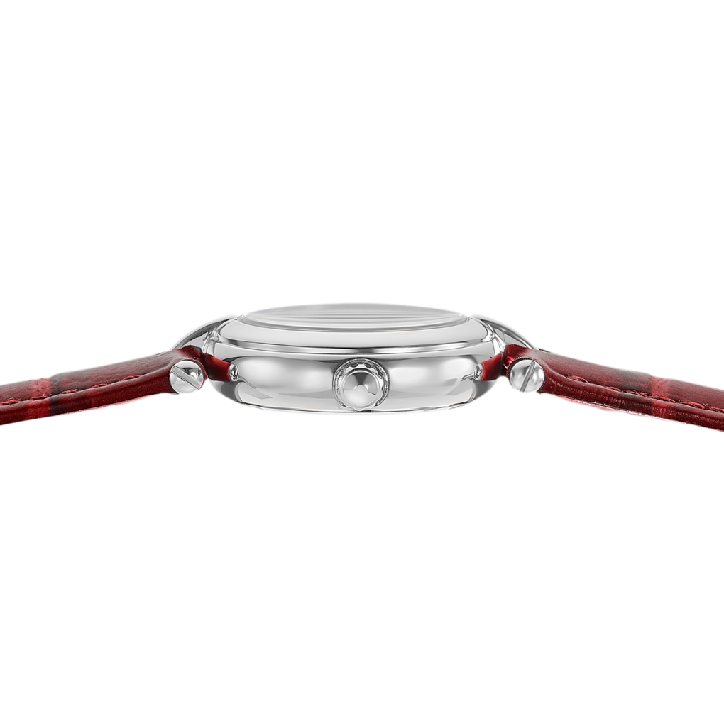 festina-f20787-1