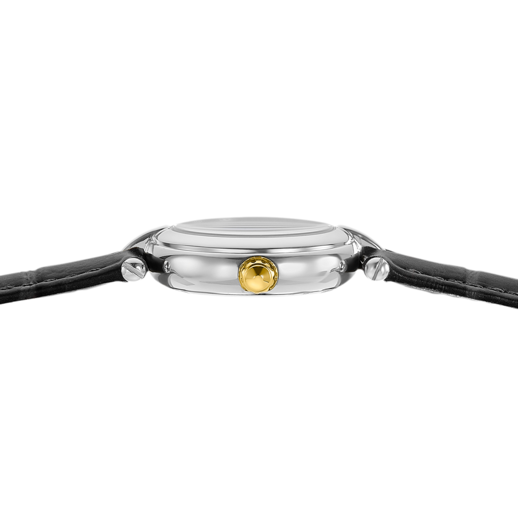 festina-f20787-4