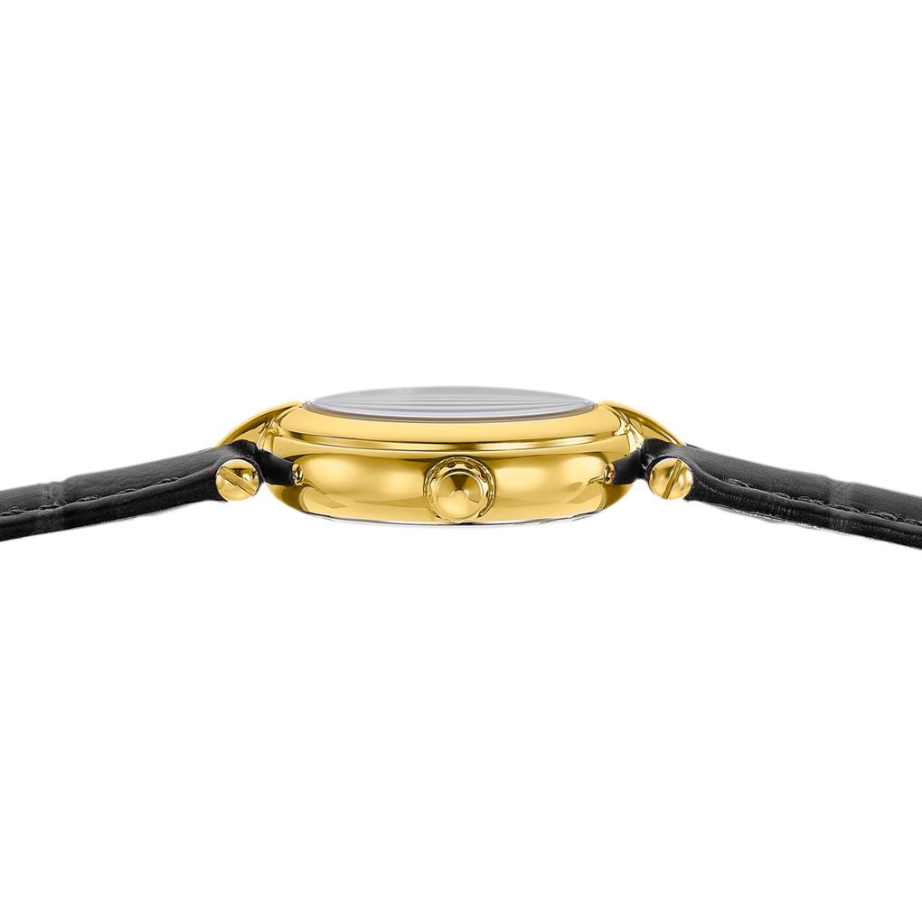 festina-f20788-1