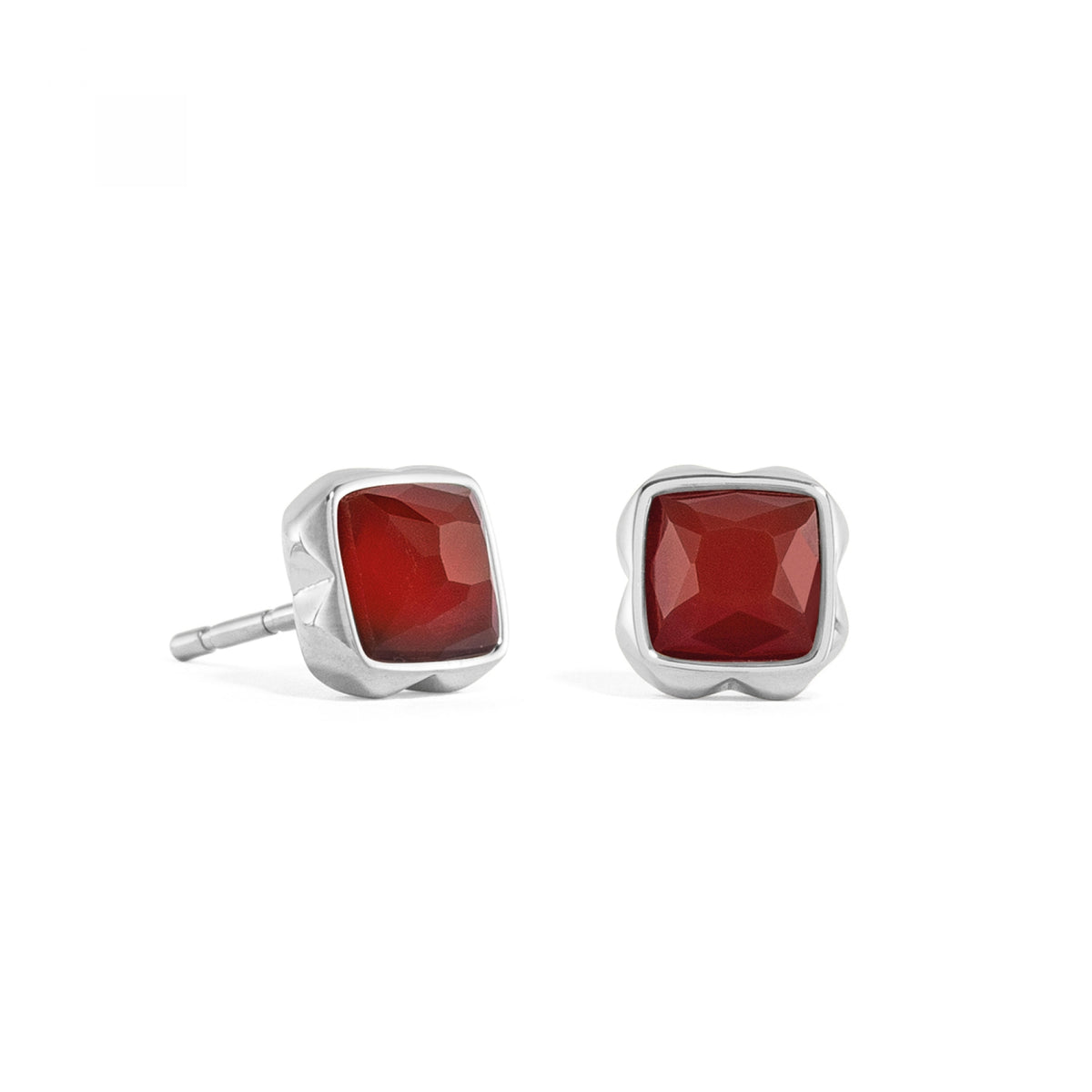Cœur de Lion Boucles d'oreilles 1300/21-0300