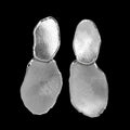 Sanjoya Boucles d'oreilles Kiev ES1019001