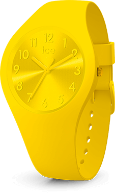 ICE colour - Citrus - Small - 3H — Ice-Watch