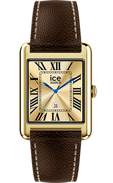 ICE smart TKS 2.0 - Gold - Chocolate grain - 1.41 - 32mm — Ice-Watch