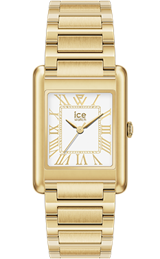 ICE power - PW6 - Metal - Gold white - 23x34mm — Ice-Watch