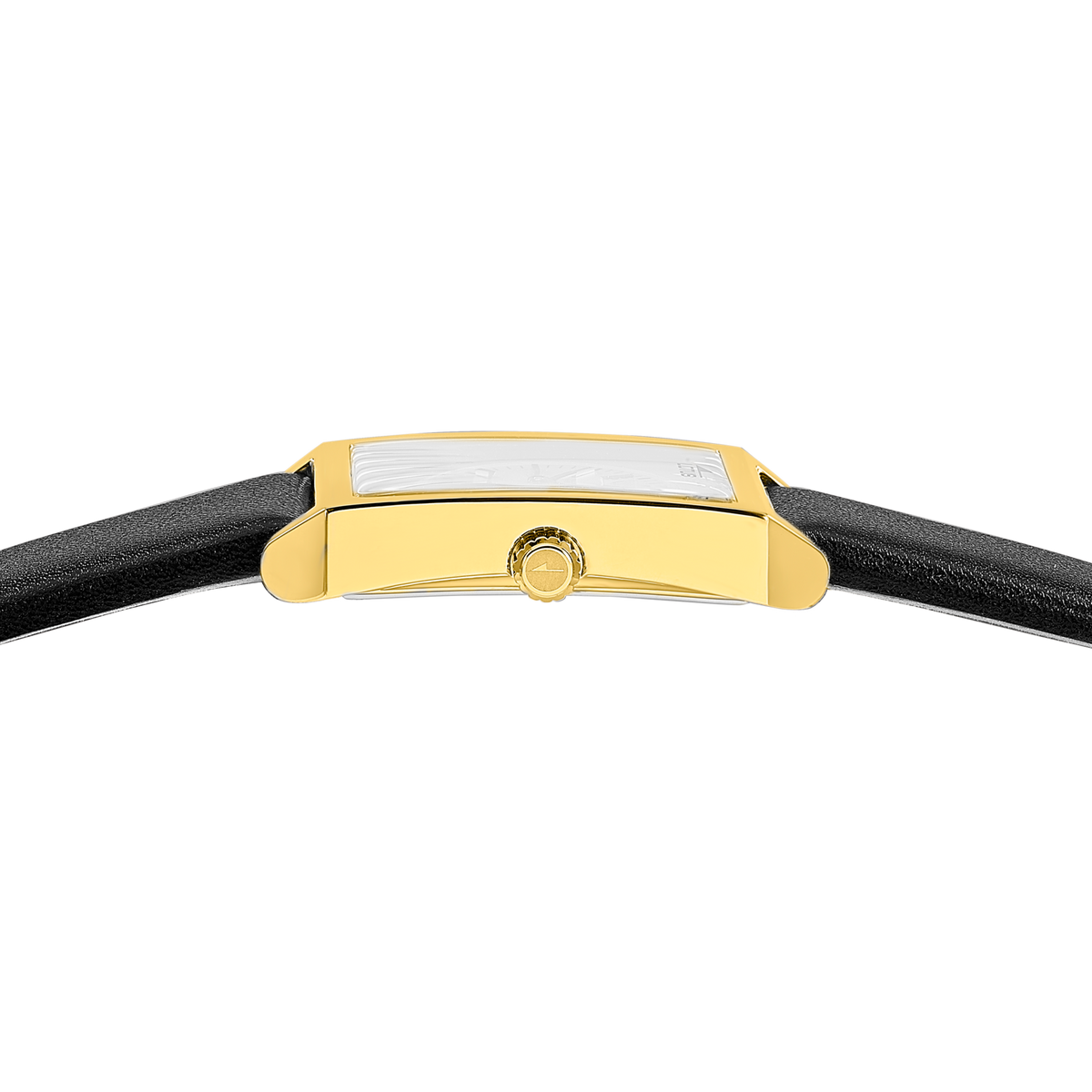 lotus-19079-1