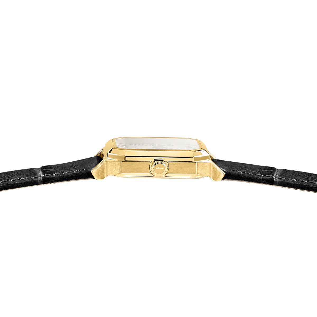 lotus-19083-1