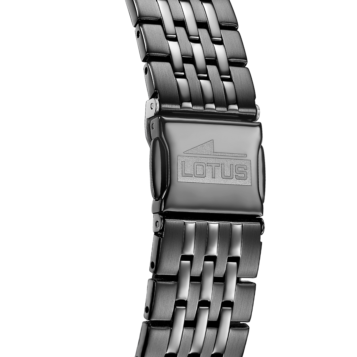 lotus-19095-1