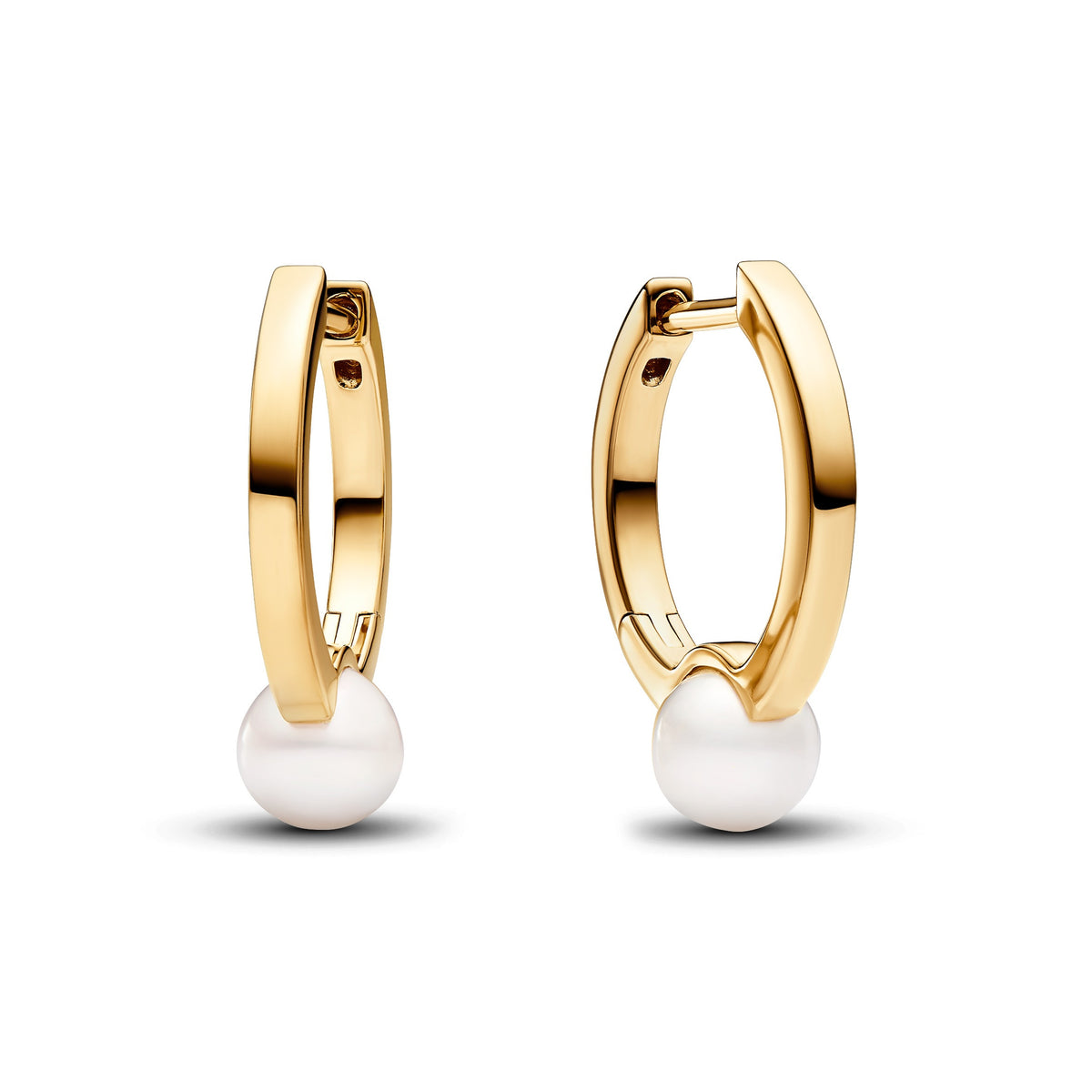 Pandora Timeless Créoles Perle de Culture d'Eau Douce Traitée 263170C01