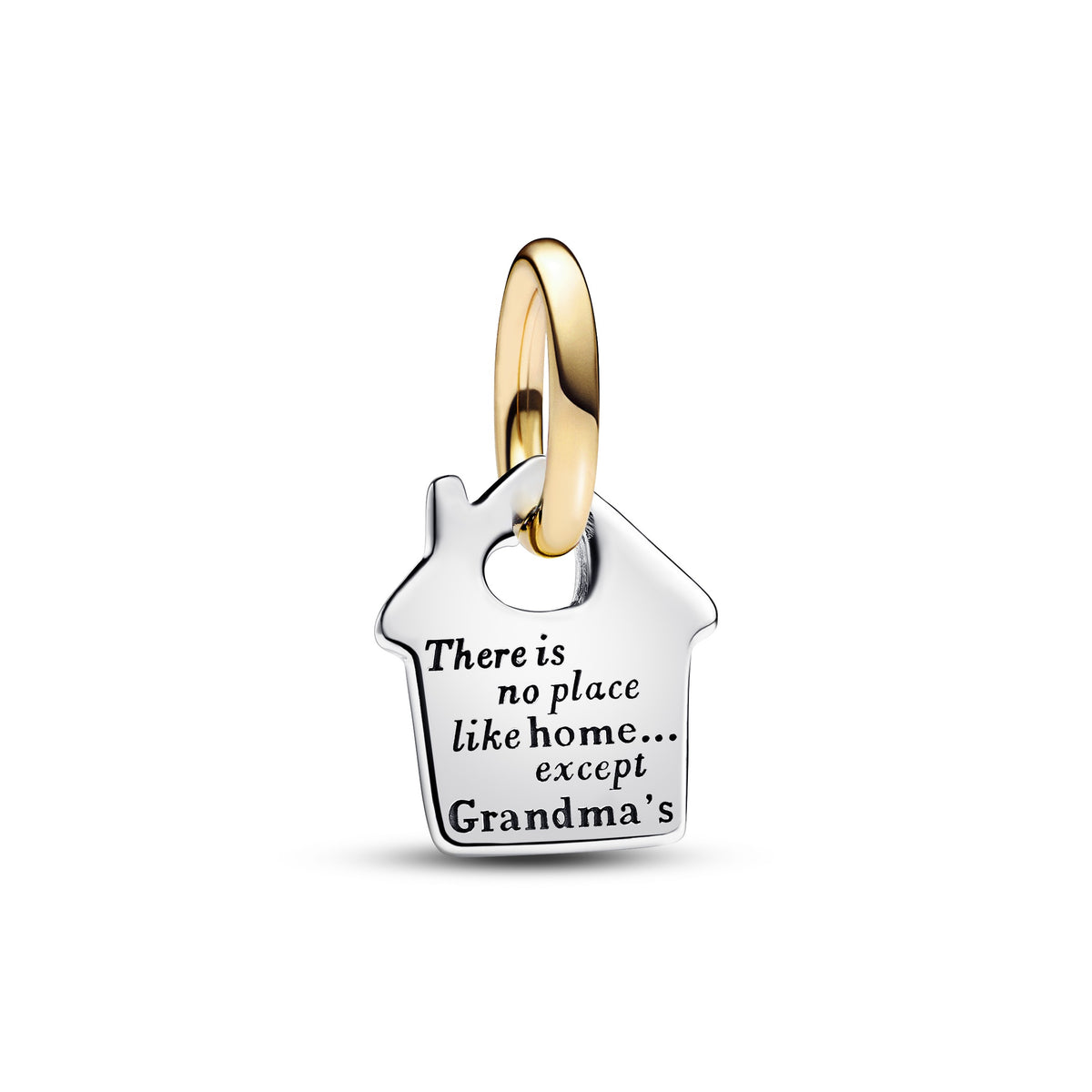 Pandora Moments Charm Pendant Maison Bicolore 763205C00