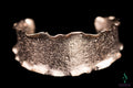 Sanjoya Bracelet Amsterdam PRE1117003