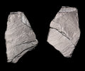 Sanjoya Boucles d'oreilles Berlin PRE1118018