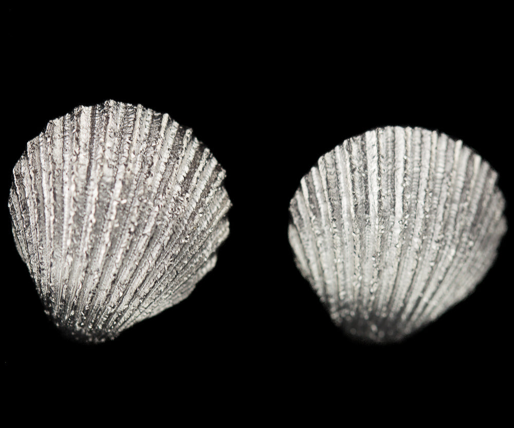 Sanjoya Boucles d'oreilles Anvers PRE1217007